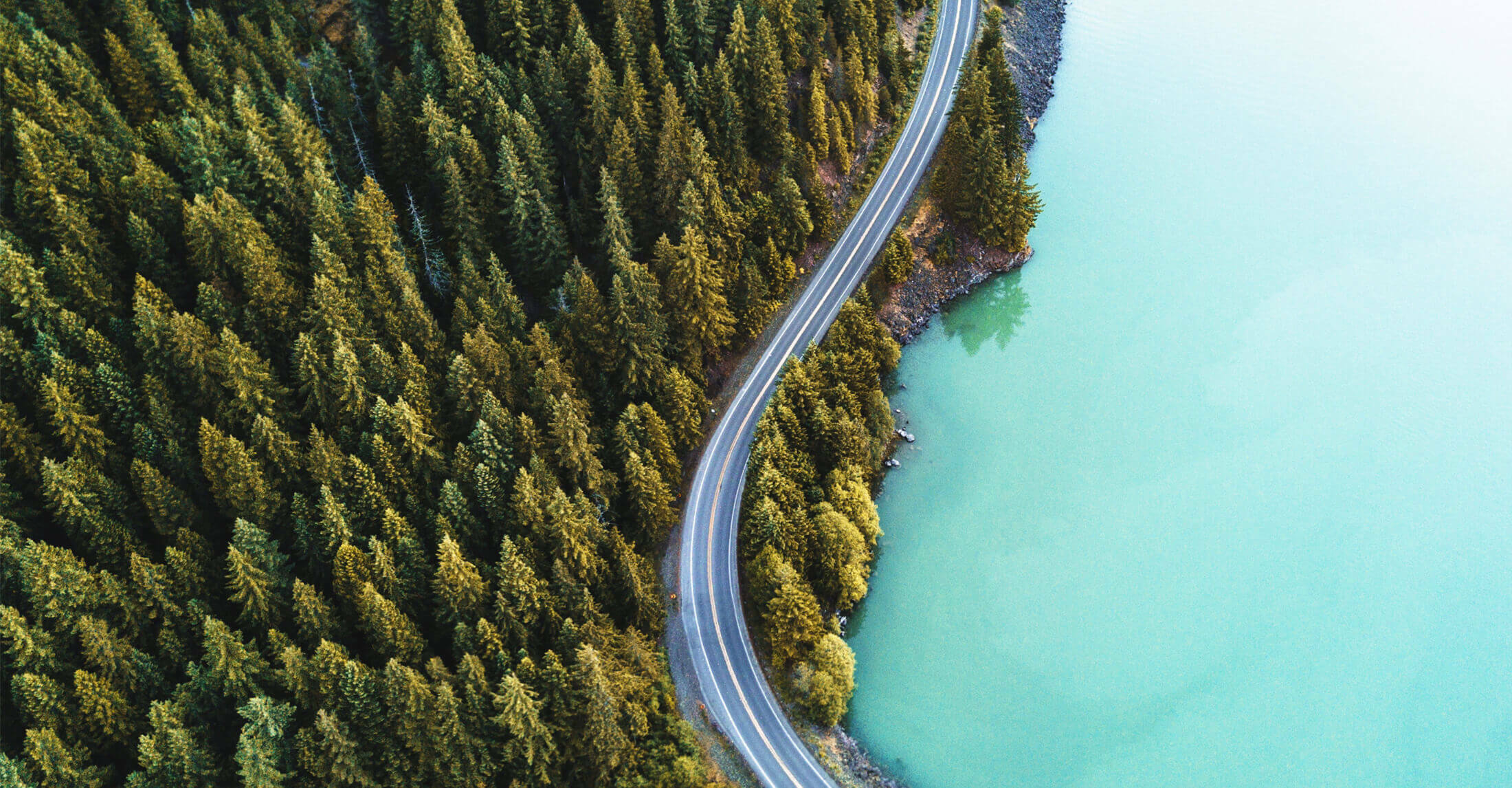 Aerial view of forest next to ocean, with curving 2-lane highway following close to shoreline